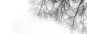 Just a tree