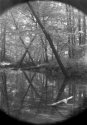 Lunchtime Pinhole Project