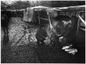 sacrificies bazaar - 2