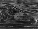 Knot 29, Bodie