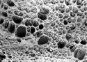 Pebbles in Sandstone