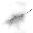 Leaves and Snow 3