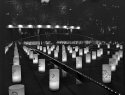 Tokyo Luminaria