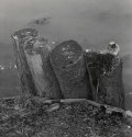 Logs