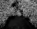 810-creekswirls_grass-rmnp