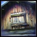 Summer afternoon with my holga