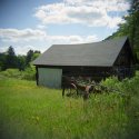 A summer afternoon with my Holga
