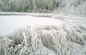 Frozen lake