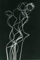 Curly Willow