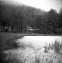 A Late Winter Day Out with My Holga