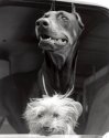 Cute couple