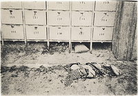 another stroll on the beach