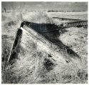 Collapsed Boat