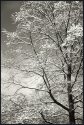 Winter Variations _ Patterns