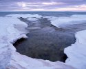 67rvp-winter-wycamp