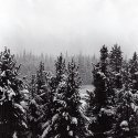 First Snow
