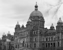 Legislature Building with Branch