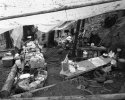 Activists' Kitchen