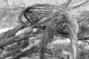 Wire Rope