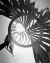 The Phoenix Turbine