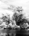 Maco IR #1