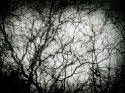 eternity