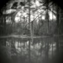 Moss, Northlake