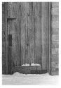 another door at park
