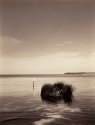 Albemarle Sound