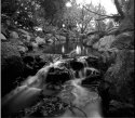BHP-Brook