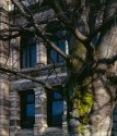 Architecture & Landscaping