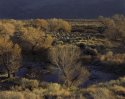 The Lower Owens River, 2007