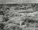 The Lower Owens River Project, November 2007