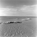 Kalfamer I