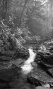 Upper Pine Bottom Run