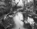 telegraph creek #3