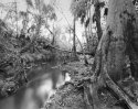 telegraph creek #2