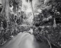 telegraph creek #1