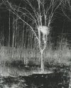 Paper negatives are uhh, contrasty II (actual neg)