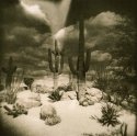 Desert Dream