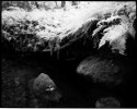Konica Infrared