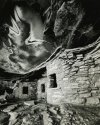 Ceiling Ruin