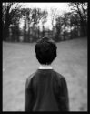 When The Bough Breaks, Brussels 2008