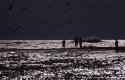 The point at Buxton, Cape Hatteras #2