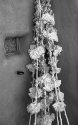 Dried Flowers