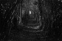 Hollow
