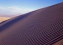 Beetle Tracks on Kelso Dunes