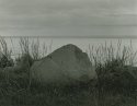 A lonely stone
