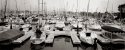 Danapoint harbor.