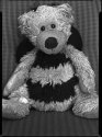 Bee Bear